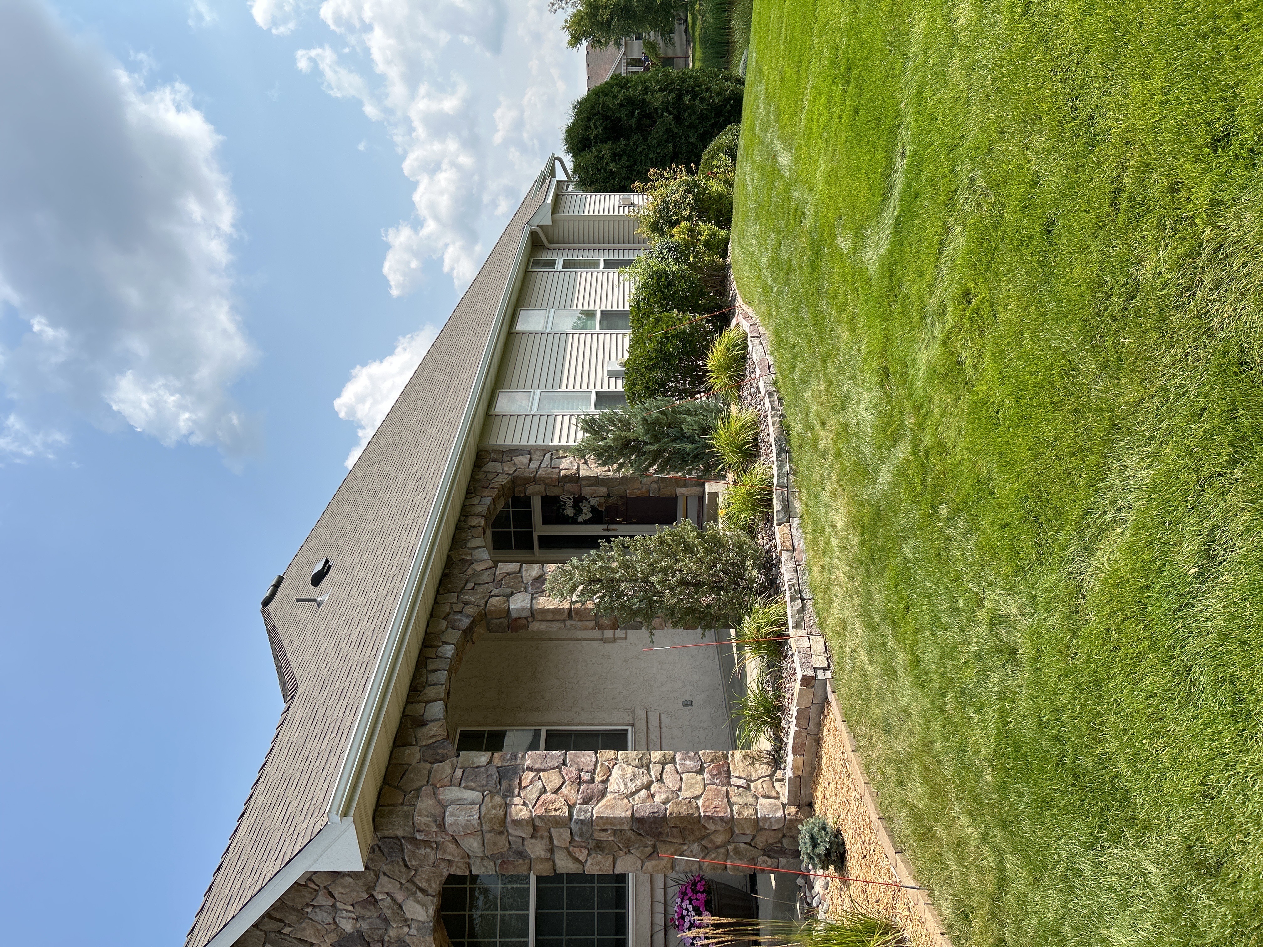 Gutter cleaning service